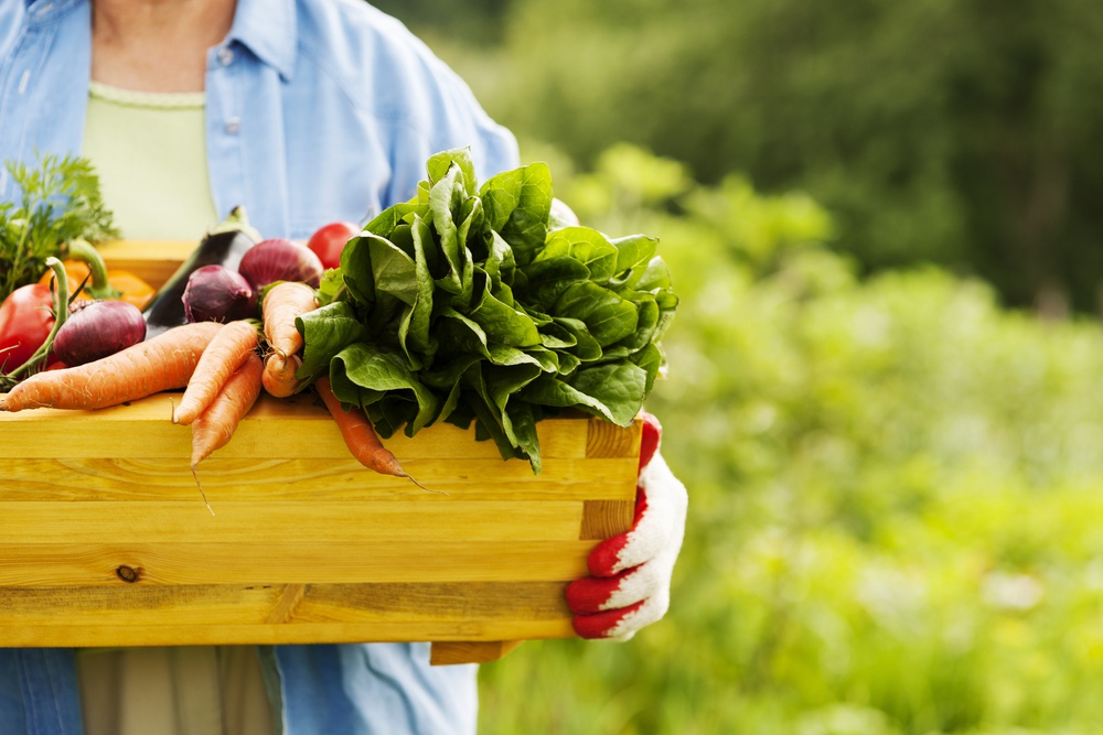 Фермерские продукты