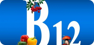 Витамин B12: правда и мифы
